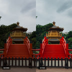 iPhone ProRAW Presets - Neutral Collection