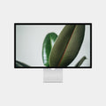 Plant Wallpaper Pack