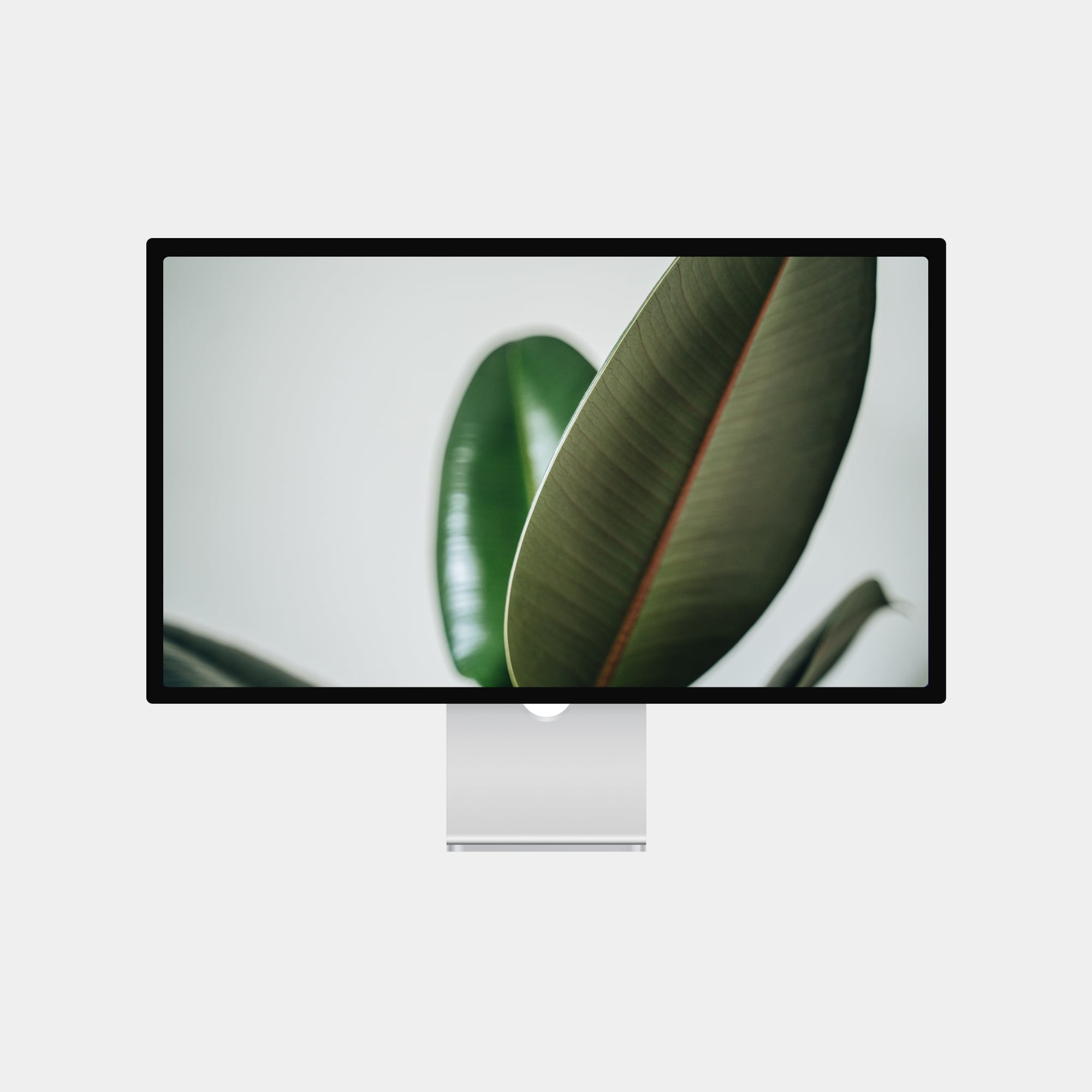 Plant Wallpaper Pack