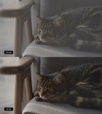 O 1Gooon3Ue2Mai4210S91Pl017Qp18