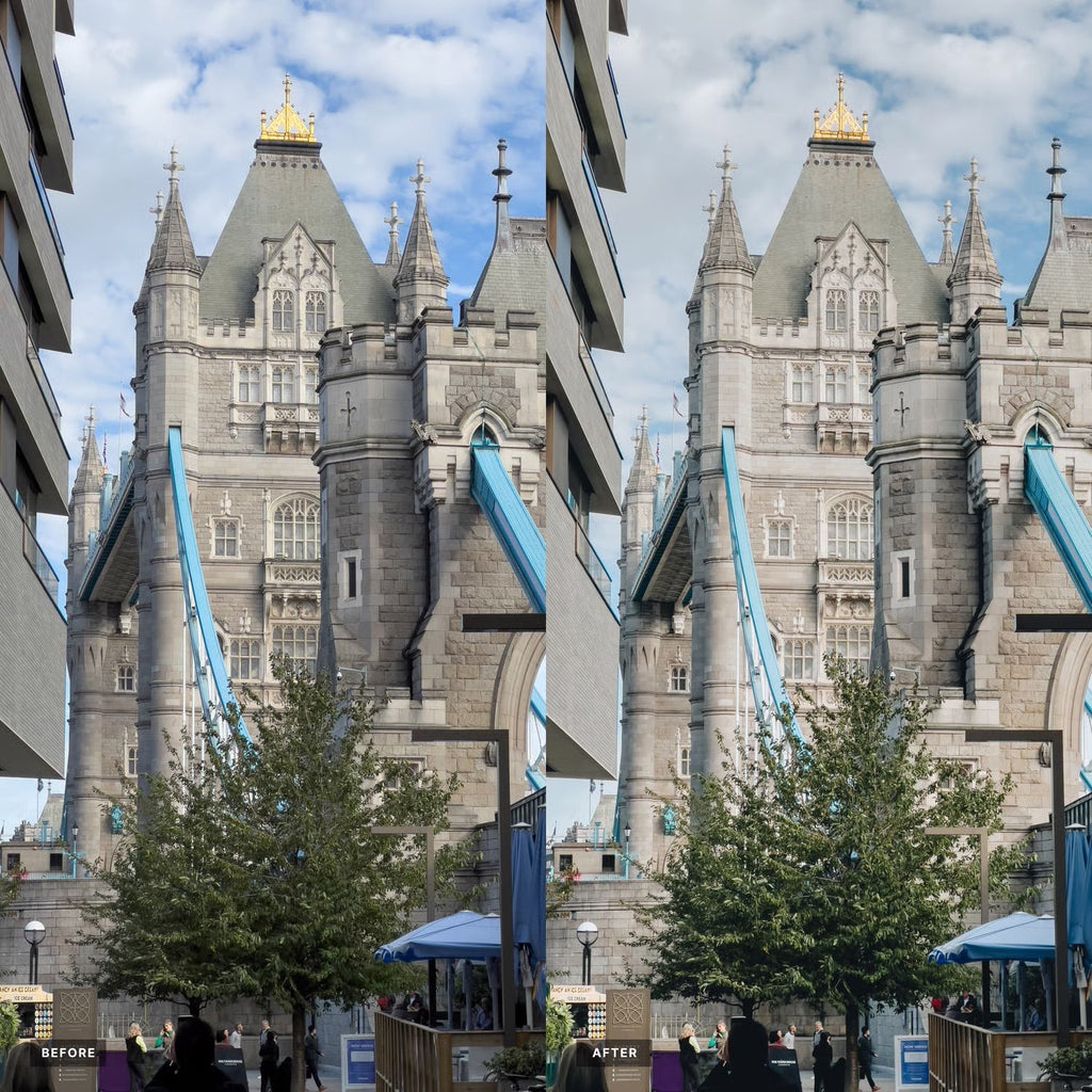 O 1Hed94Mripbq1Euu18311L9D19Dk1T